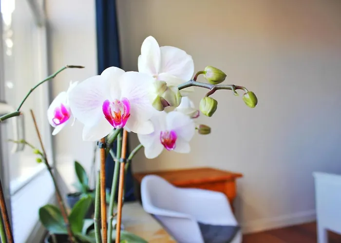 Zum Suelztor * 鲁纳